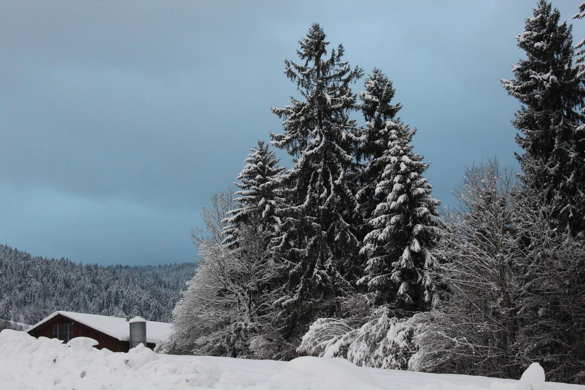 Naturparadies Silvia Alberschwende Bagian luar foto