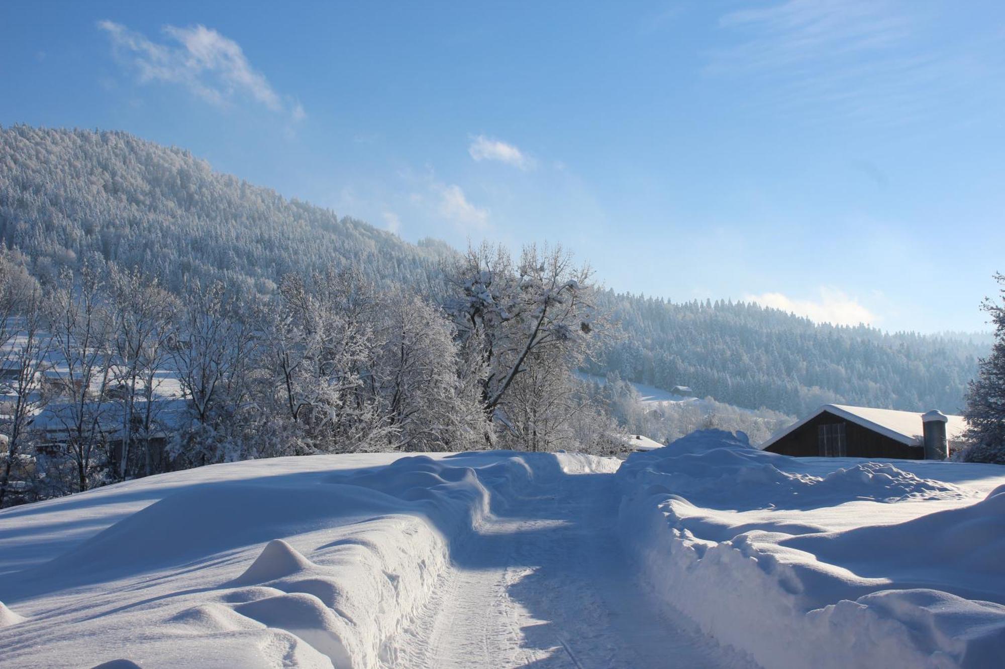 Naturparadies Silvia Alberschwende Bagian luar foto