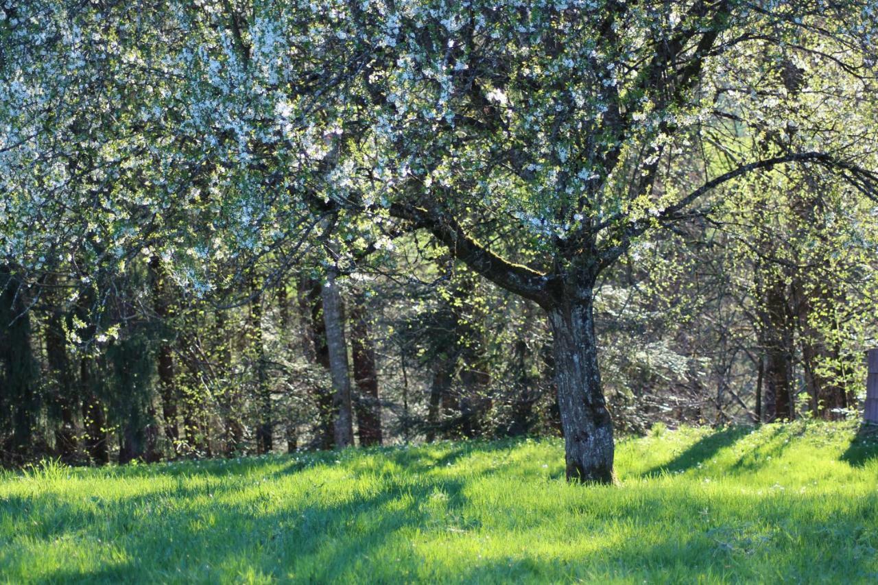 Naturparadies Silvia Alberschwende Bagian luar foto