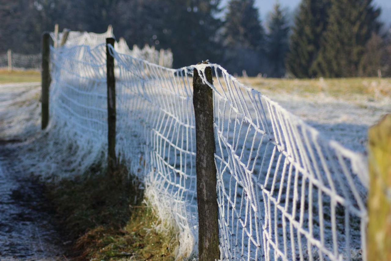 Naturparadies Silvia Alberschwende Bagian luar foto